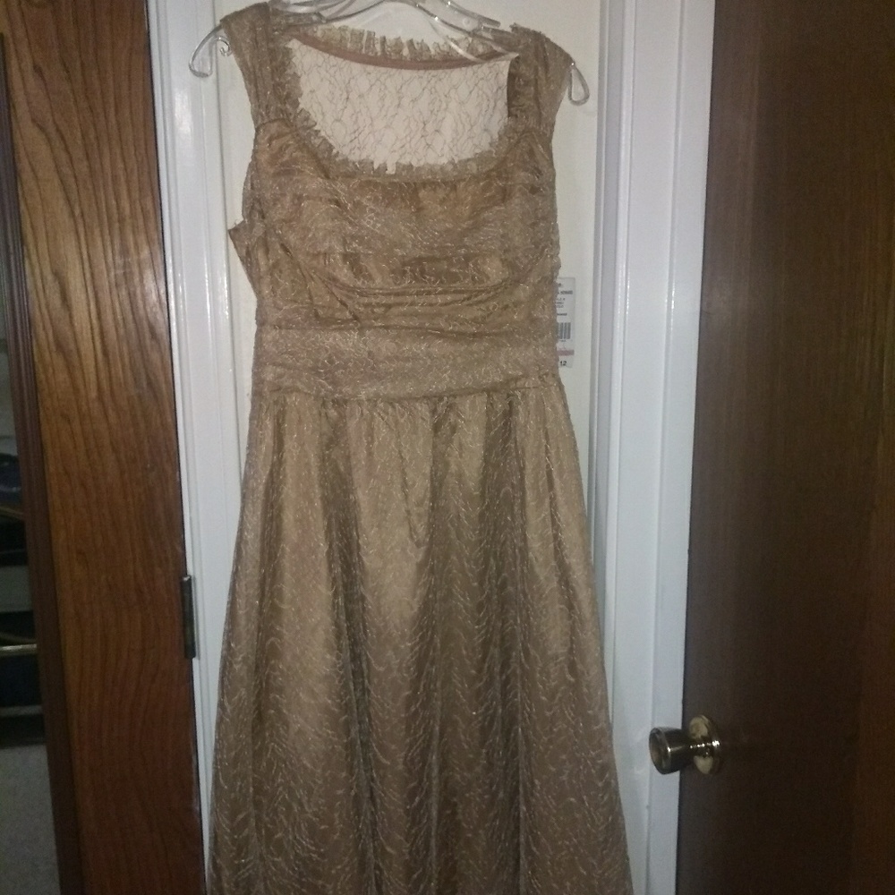 Jessica Howard Gold Lace Dress - NWT